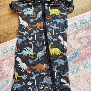 Dinosaur Print Little Sleepies